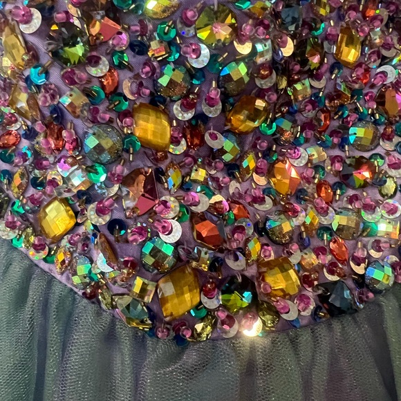 Cinderella Prom/Homecoming Dress - Picture 8 of 10